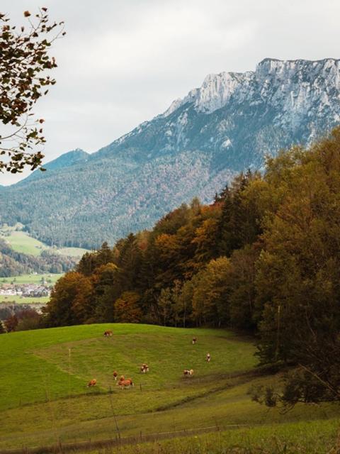 Das Luegstein photo 3