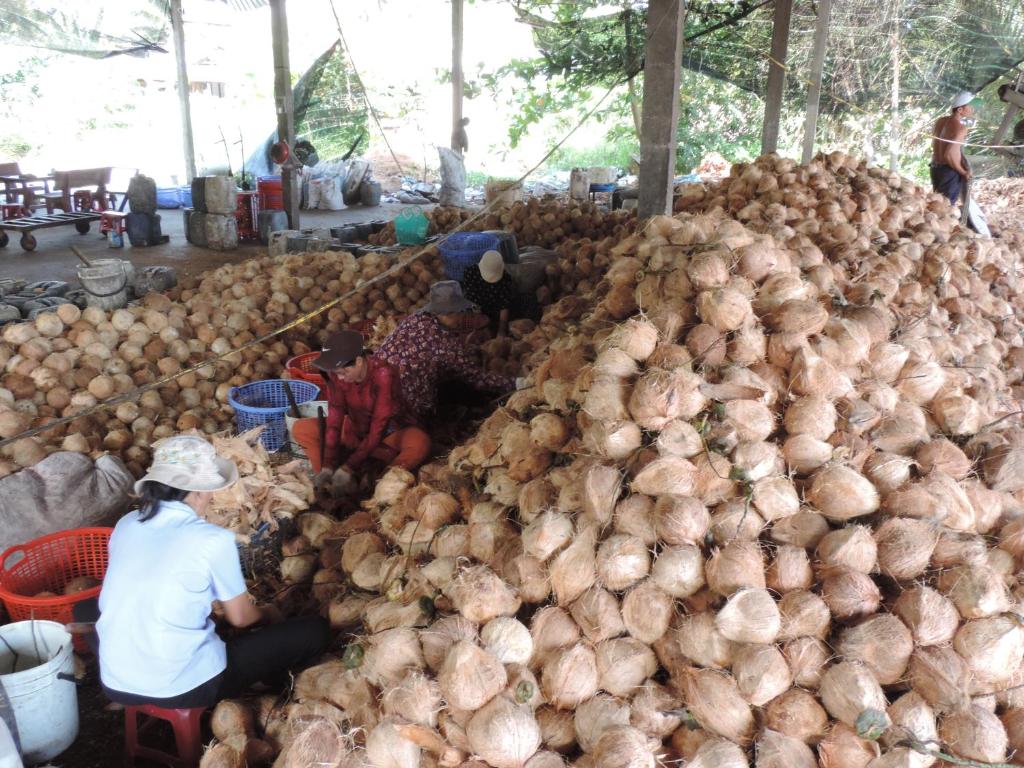 Ben Tre Farm Stay