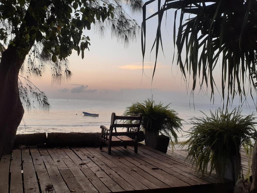 Gecko Nature Lodge Home of Swahili Divers the BEST dive center and Famous Gecko Restaurant photo 3