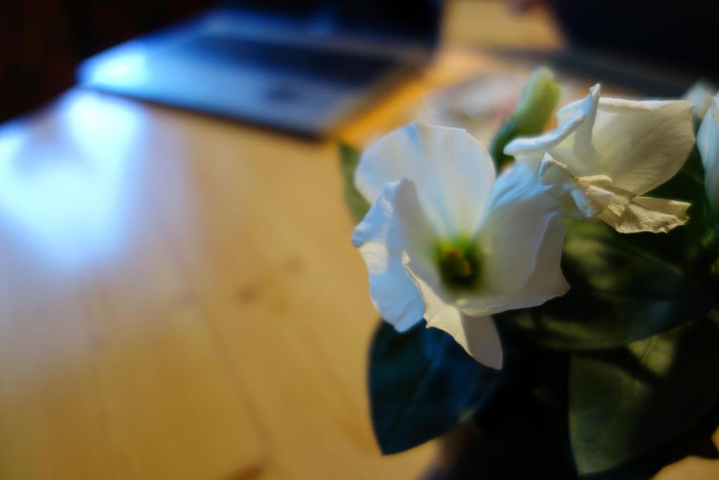 Ferienhaus Inge photo 1