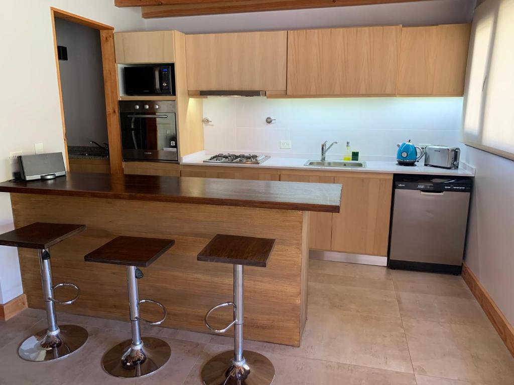 Exclusivo departamento cerca del lago photo 4