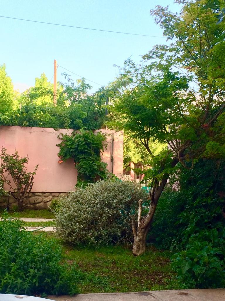 Gimenoz Apart photo 1