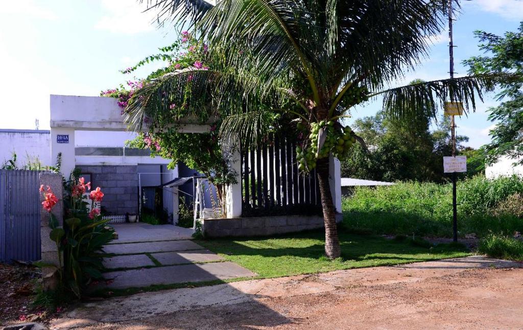 Đồi Sao Homestay