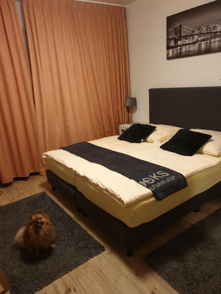 Двухместный (Двухместный номер с 1 кроватью), Hotel Eigelstein