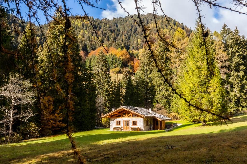 Baita Valon - Alpine Hideaway photo 1