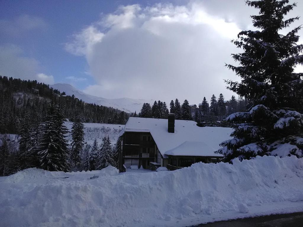 Le Lioran Studio les Myrtilles à 200m des pistes photo 1