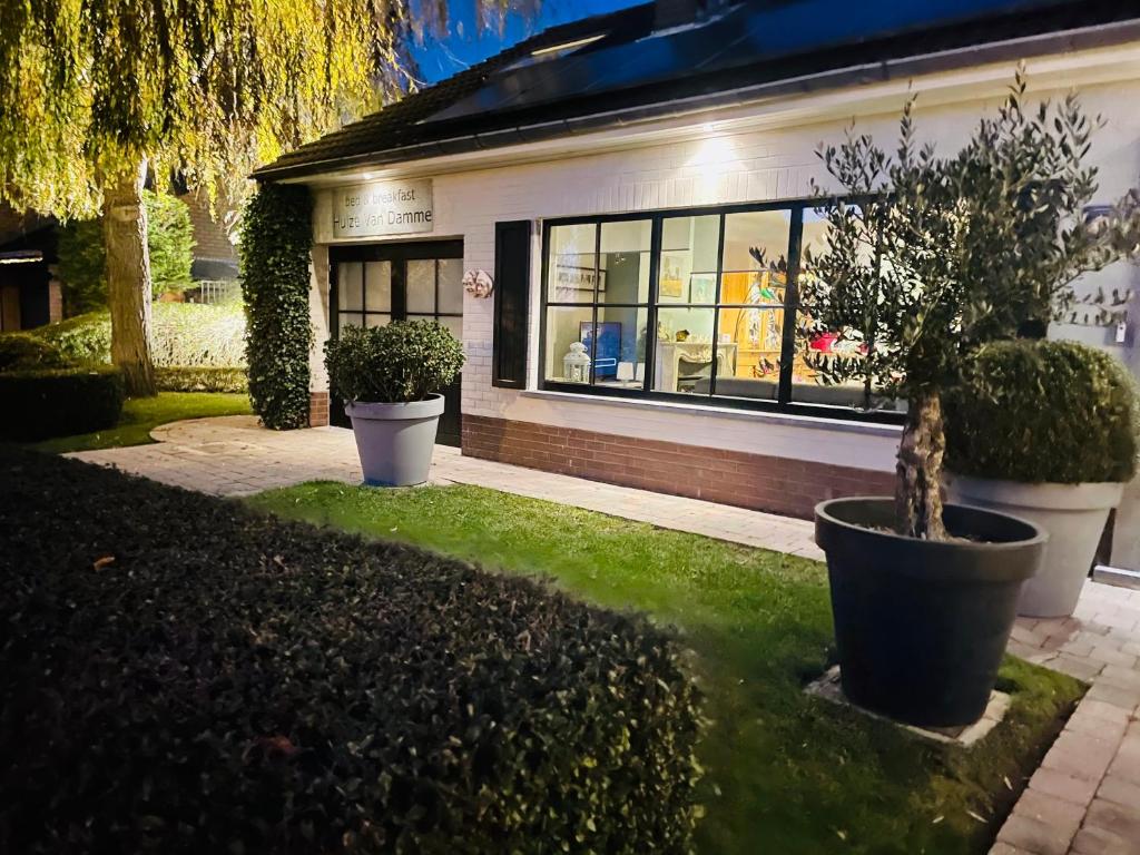 B&B Huize Van Damme photo 4