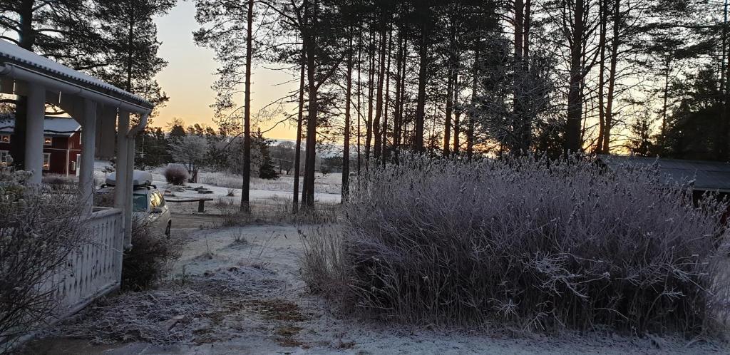 Semesterhus i Hälsingland nära Hassela skidbacke och strand photo 4