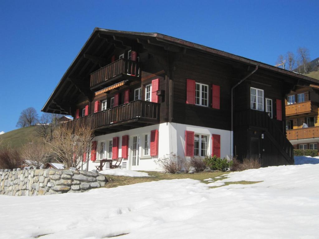 Chalet Aiiny photo 1