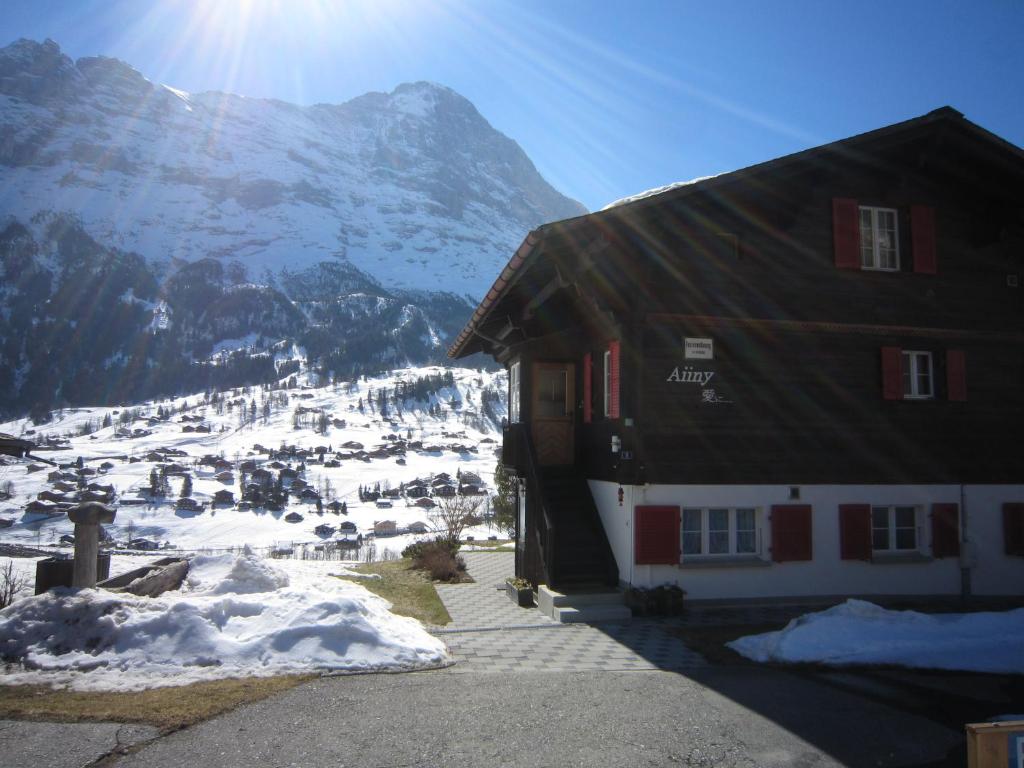 Chalet Aiiny photo 2