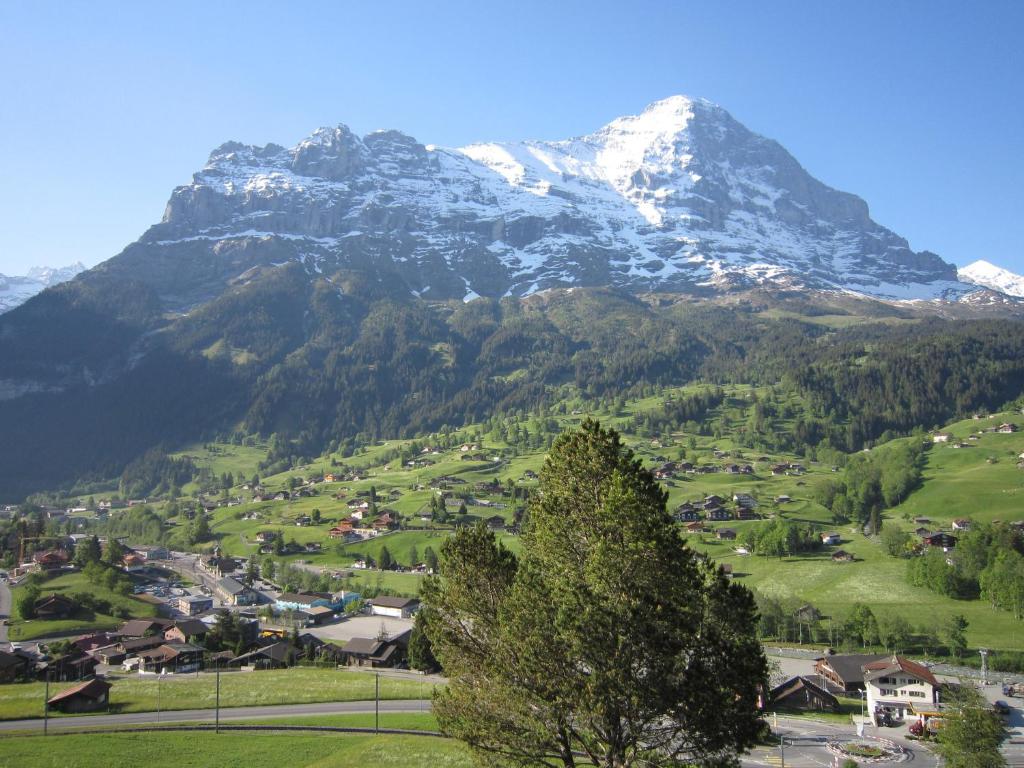 Chalet Aiiny photo 4