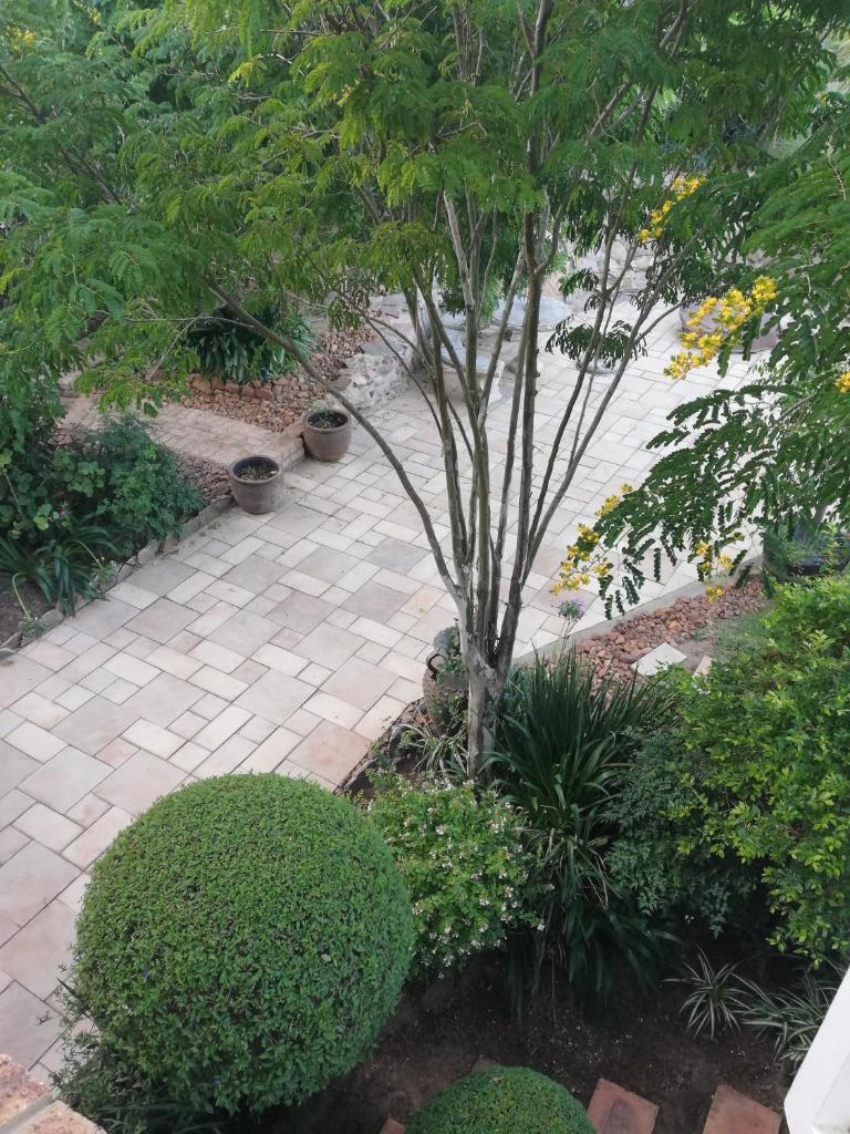 Leeuwenhof Guesthouse photo 1