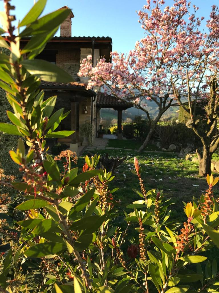 Vitori's House Tourist Accommodation photo 4