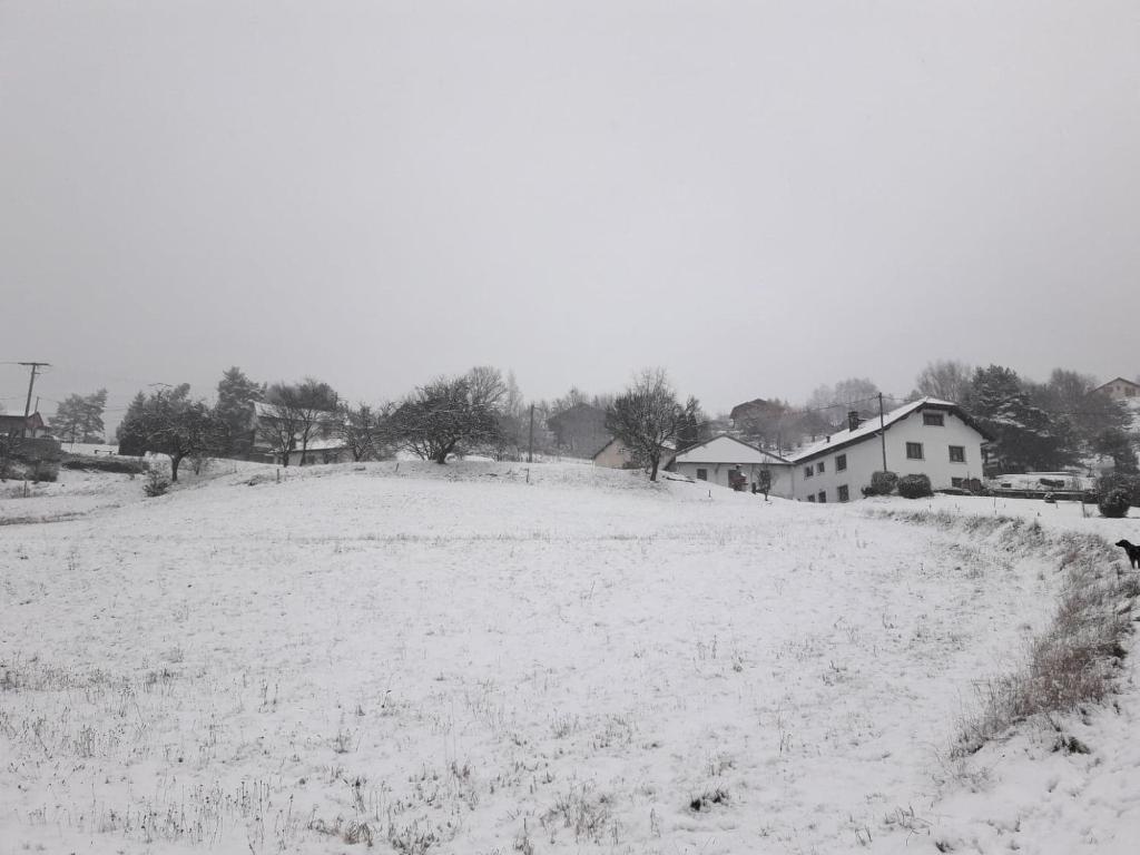 Gîte de famille dans les Vosges photo 4