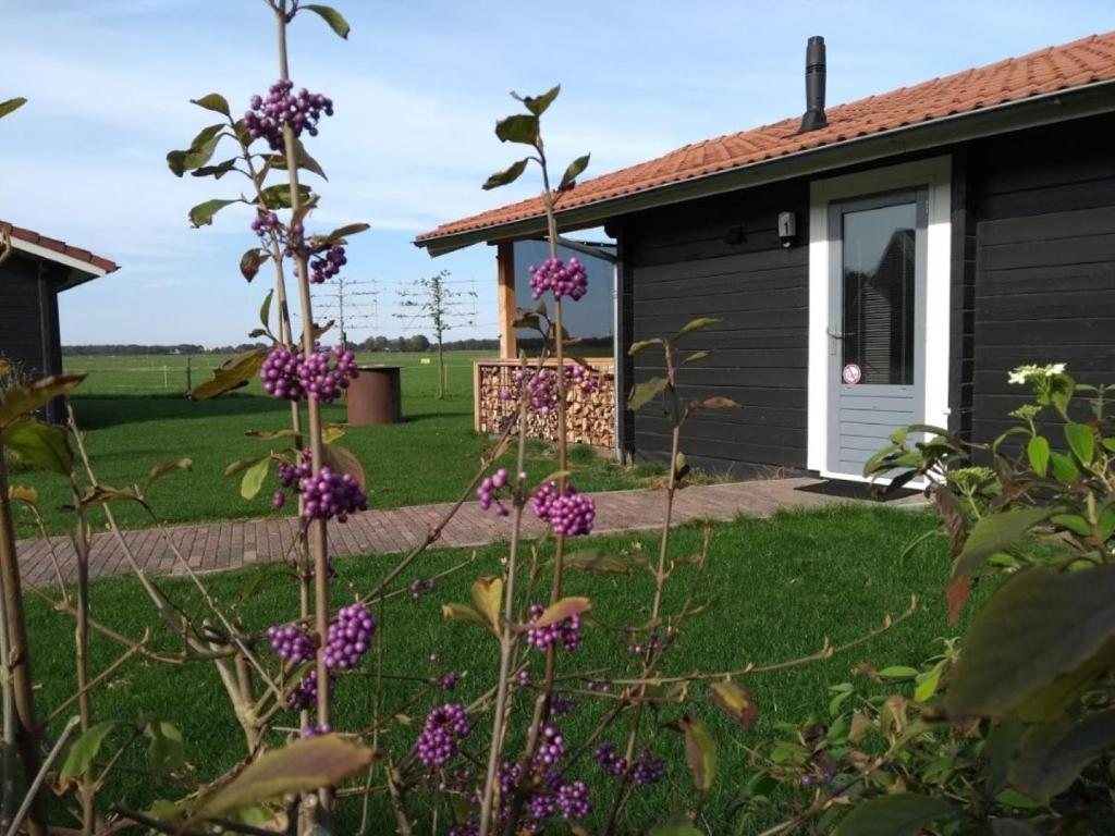 Charme camping Vorrelveen photo 2