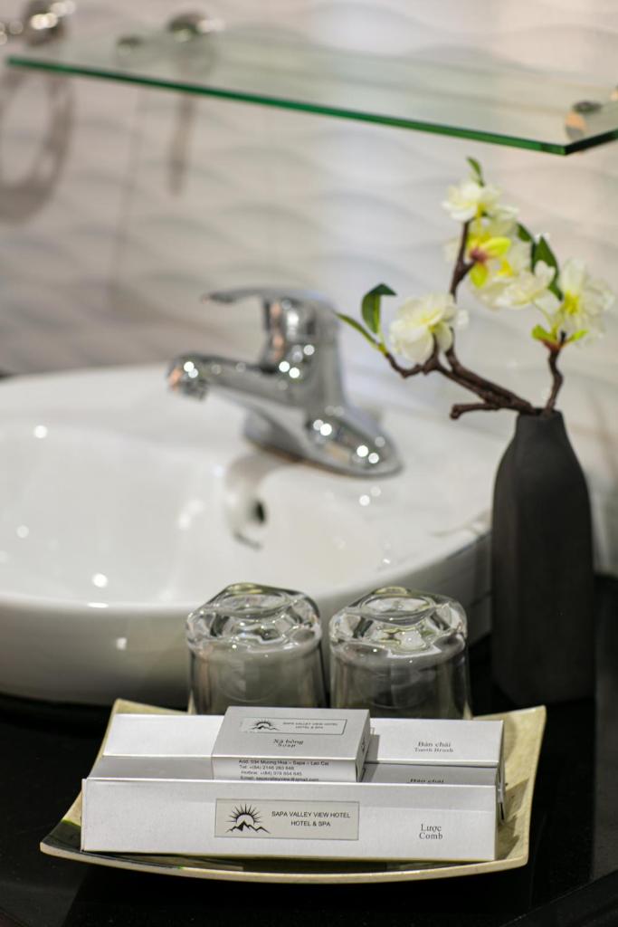 Sapa Valley view hotel