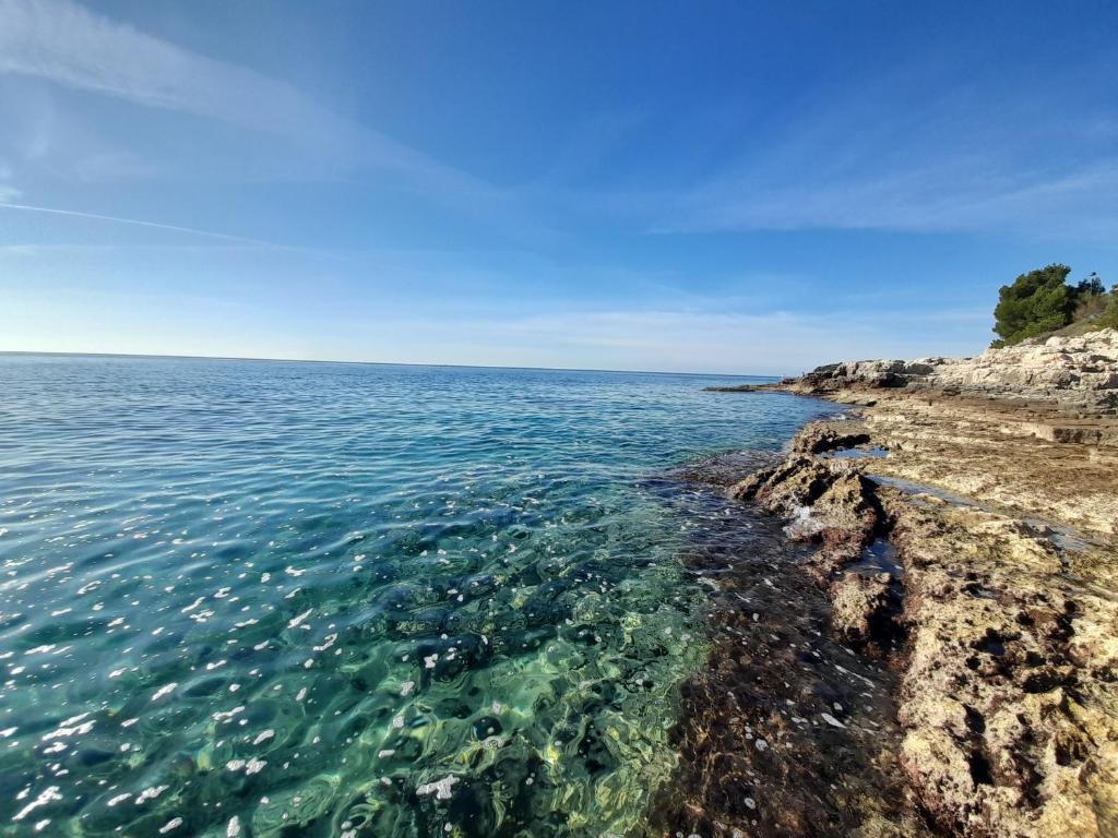 Apartmani Monte photo 4