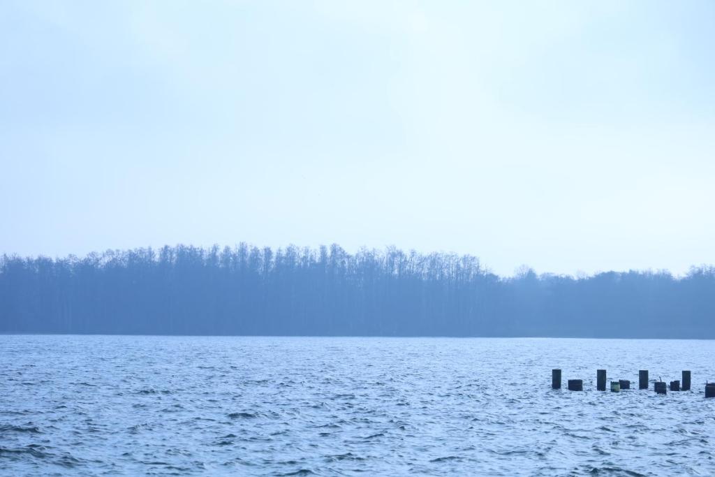 Gästehaus am Schweriner See photo 4