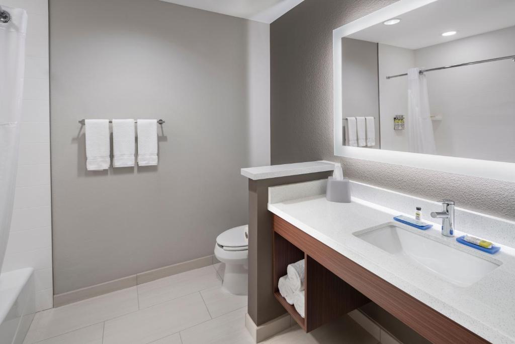 Holiday Inn Express & Suites - Odessa I-20, an IHG Hotel photo 3