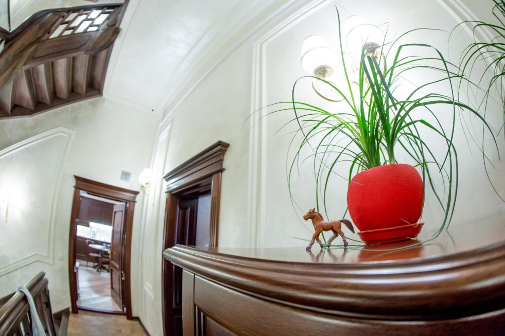 Apart-hotel Horowitz photo 4