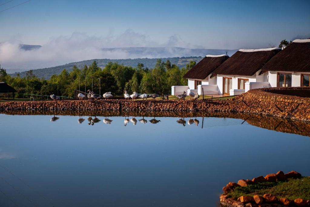 Steynshoop self-catering Valley Lodge photo 3