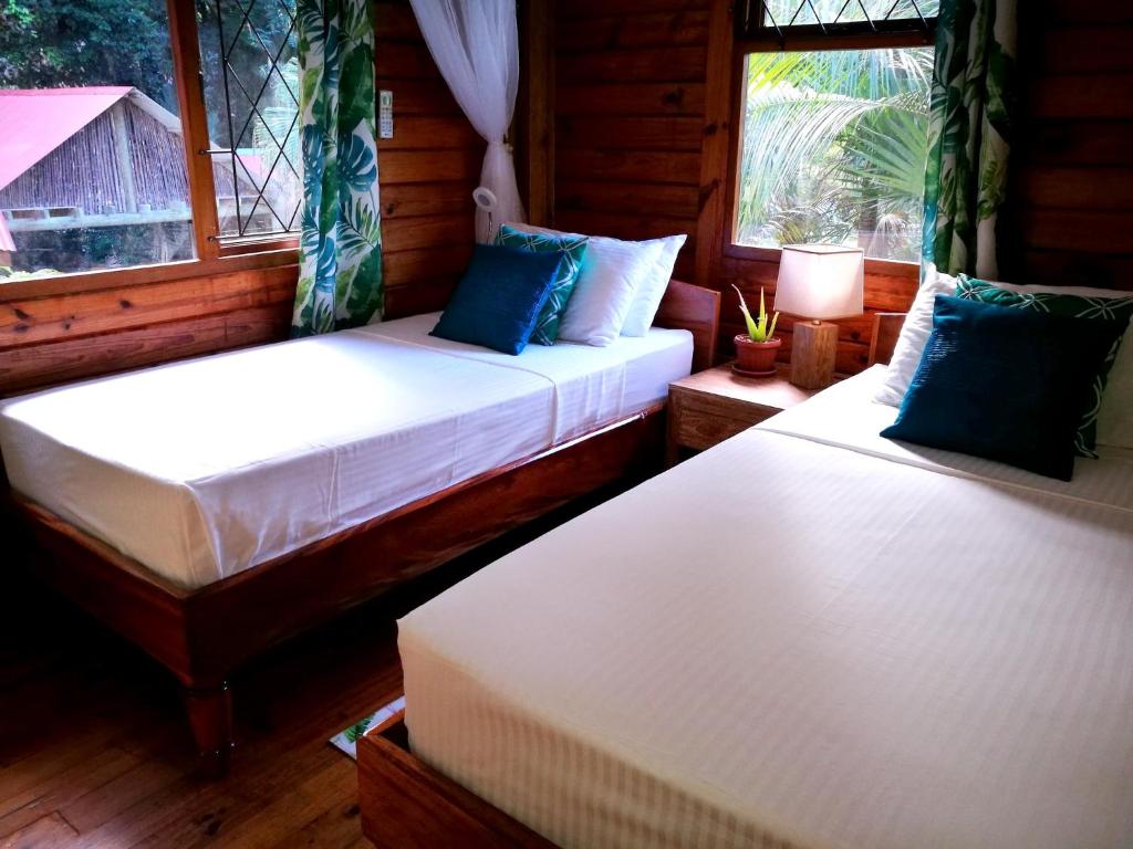 4 bedrooms villa with private pool and enclosed garden at Anse La Blague 2 km away from the beach photo 4