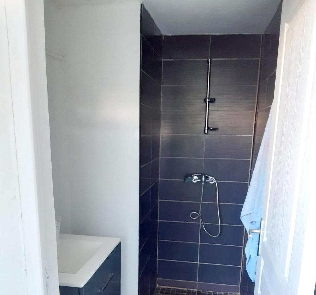 Appartement d'une chambre avec vue sur la mer piscine partagee et jardin amenage a Saint Joseph photo 4