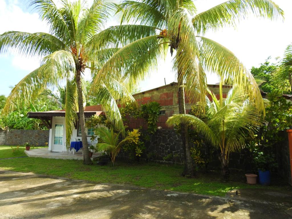 Studio avec piscine partagee jardin et wifi a Le Robert