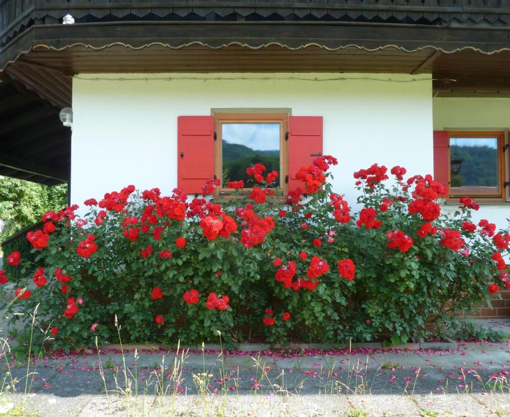 Haus an der Kräuterwiese photo 4
