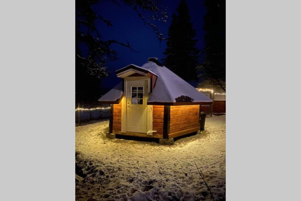Northernlight cabin photo 3