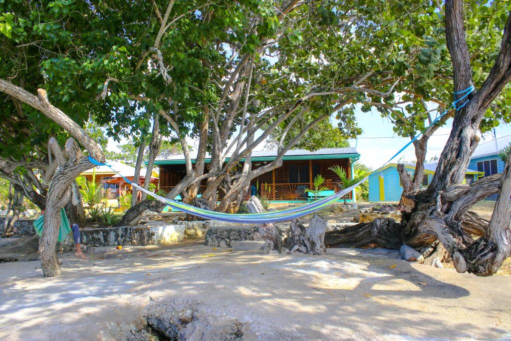 Sativa Beach Cottages photo 4