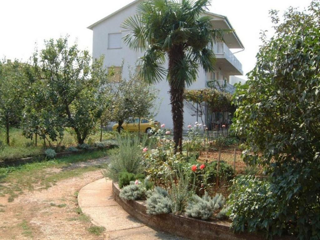 Charming Apartment in Vantacici amid the Sea photo 1