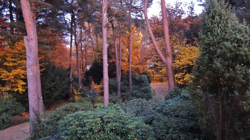 Ferienwohnung Kiefernblick-Wedemann photo 3