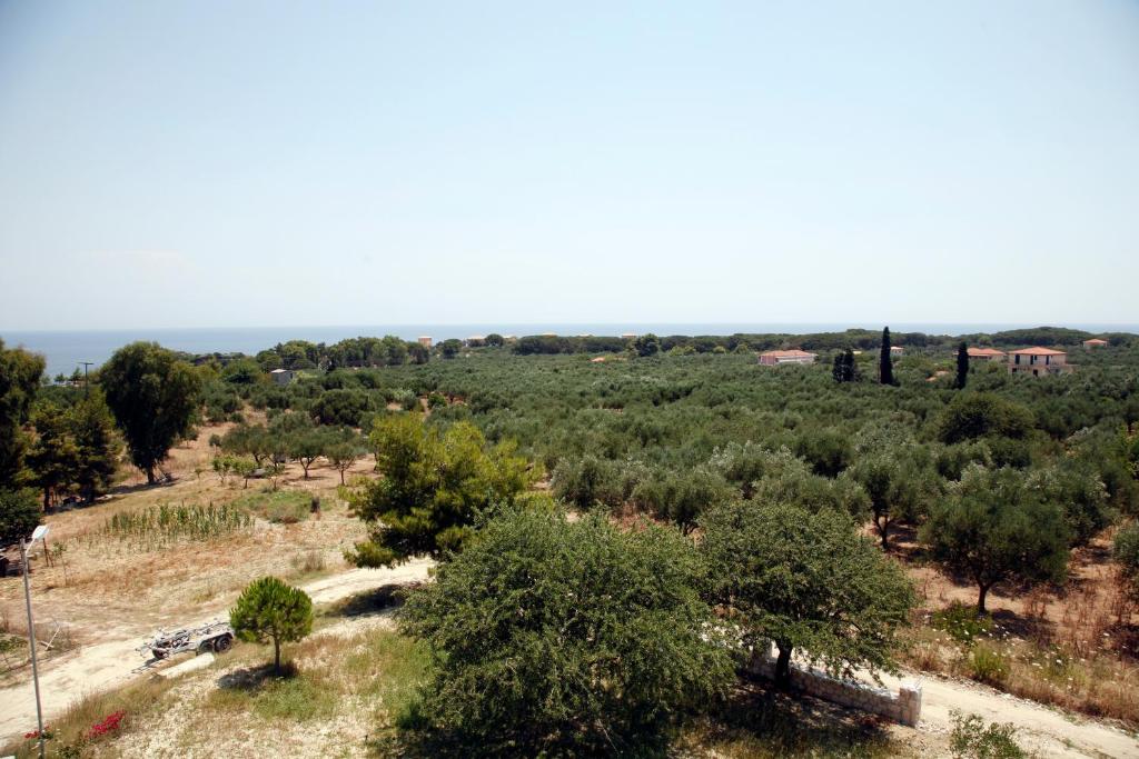 Andriani-Michalis Studios photo 2