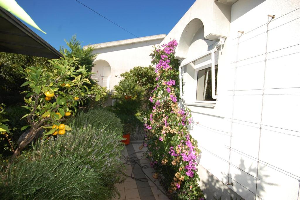 Villa Jazz photo 1