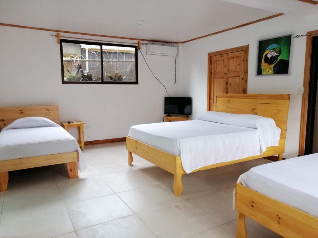 Hotel El Congo photo 1