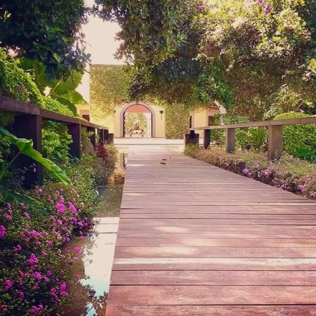 Casa de las Luciérnagas photo 2