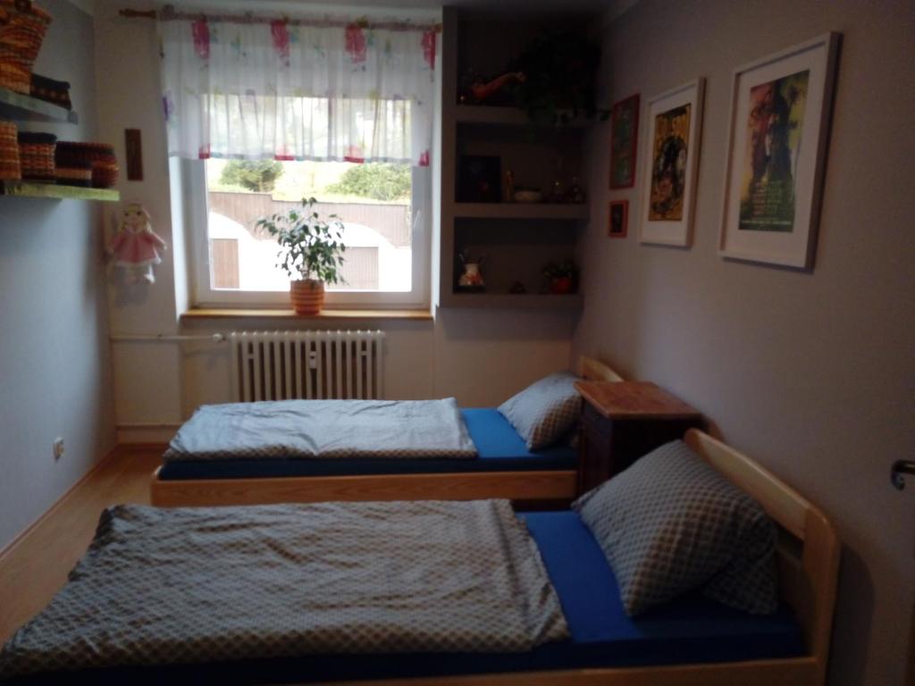 Apartmán Na sluneční stráni photo 3