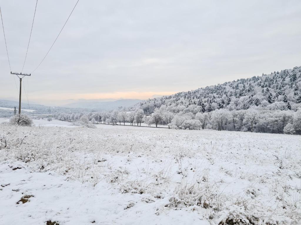 Apartmány Šafrán photo 4