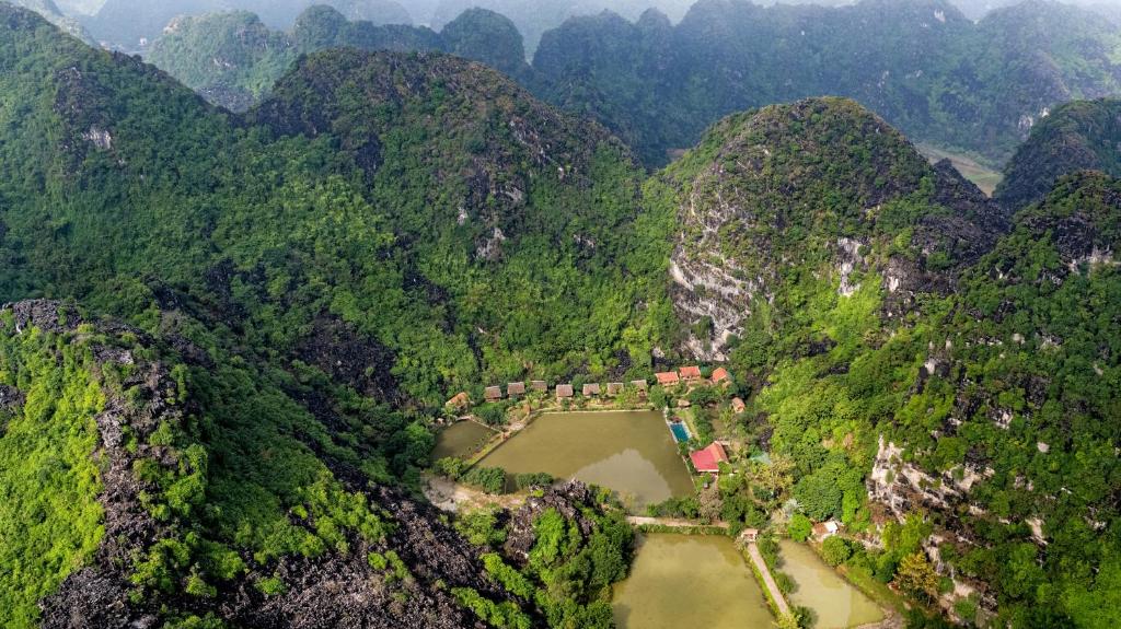 Buffalo Eco Garden Homestay