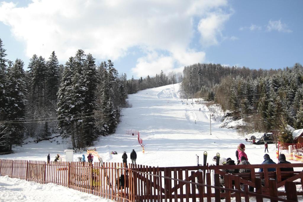 Smerekovyi Dvir photo 3