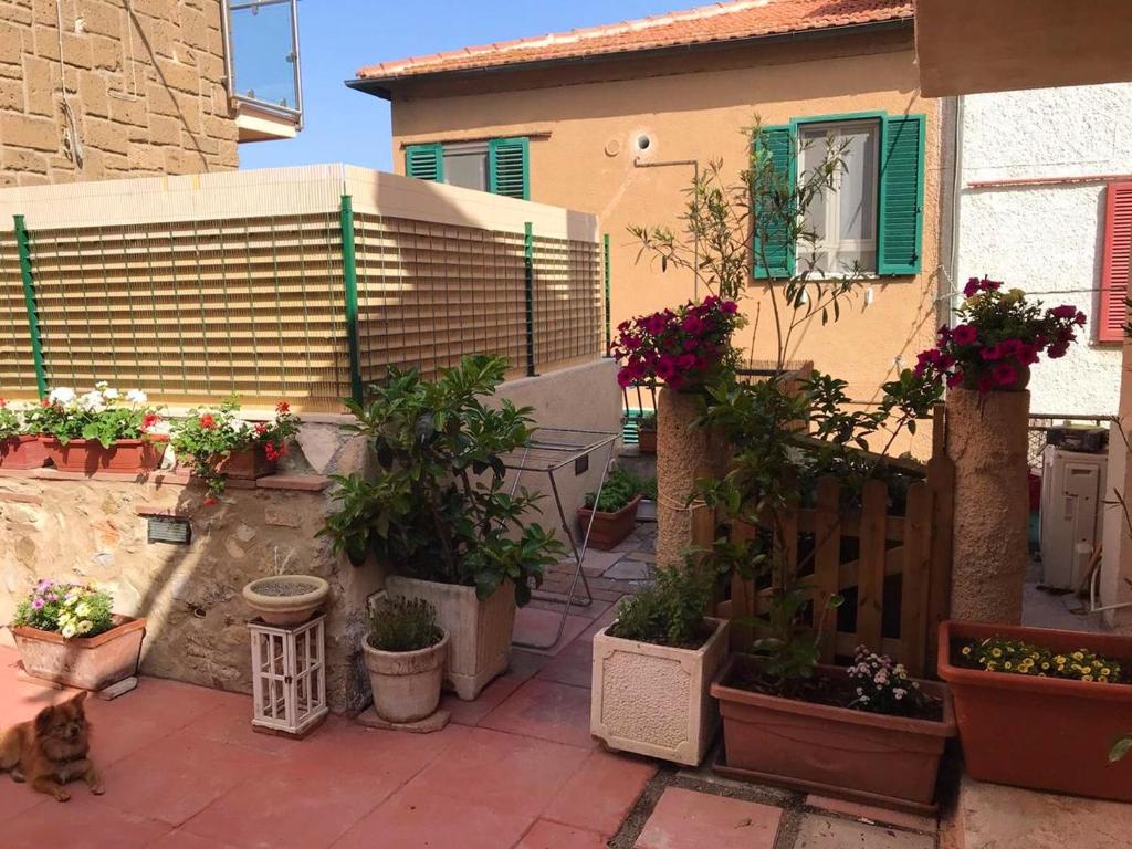 One bedroom appartement with furnished terrace and wifi at Talamone 4 km away from the beach photo 2