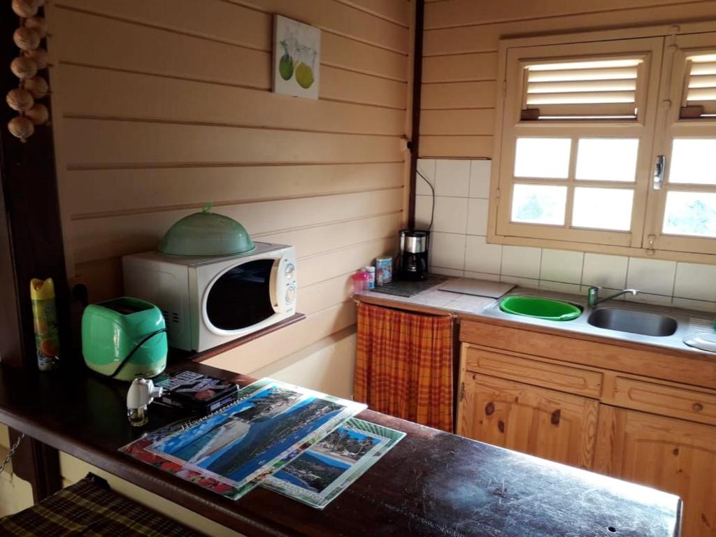 Appartement d'une chambre avec jardin clos et wifi a Le Vauclin a 5 km de la plage photo 4