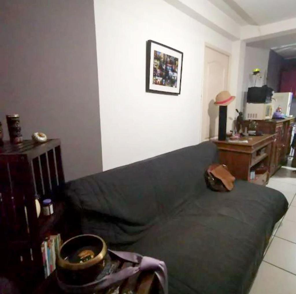 Appartement d'une chambre avec vue sur la mer jardin clos et wifi a Saint Leu a 5 km de la plage photo 1