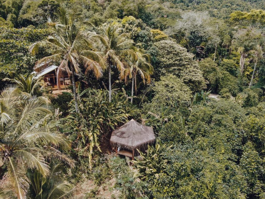 Jungle Lodge photo 3