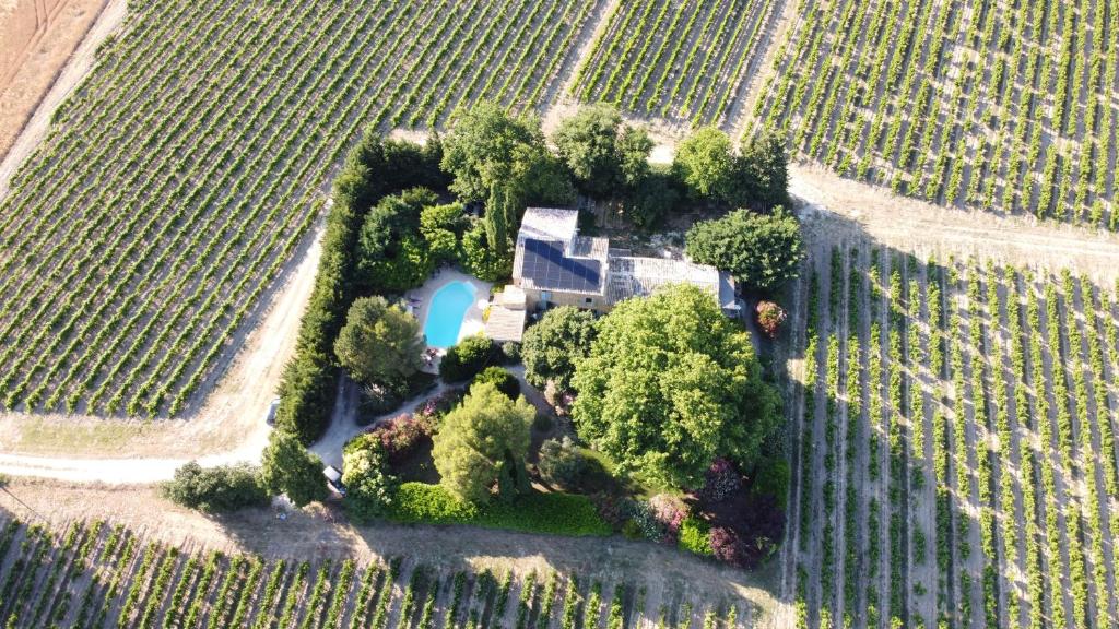 Mas du Clos de l'Escarrat photo 2