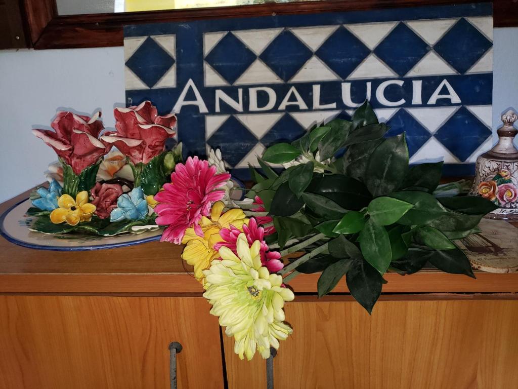 Andalucia Guest House photo 4
