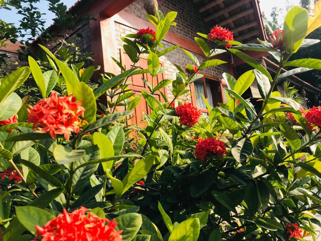 Tam Coc Friendly Homestay