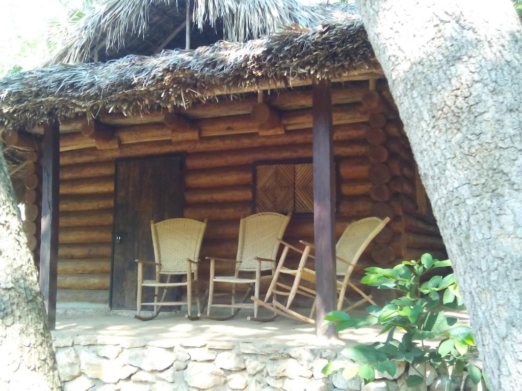 Room in Lodge - Sierraverde Huasteca Potosina Cabins Palo De Rosa photo 3