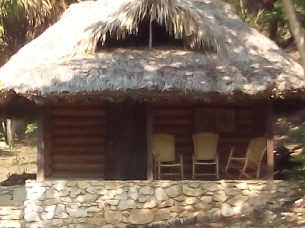 Room in Lodge - Sierraverde Huasteca Potosina Cabins Palo De Rosa photo 4